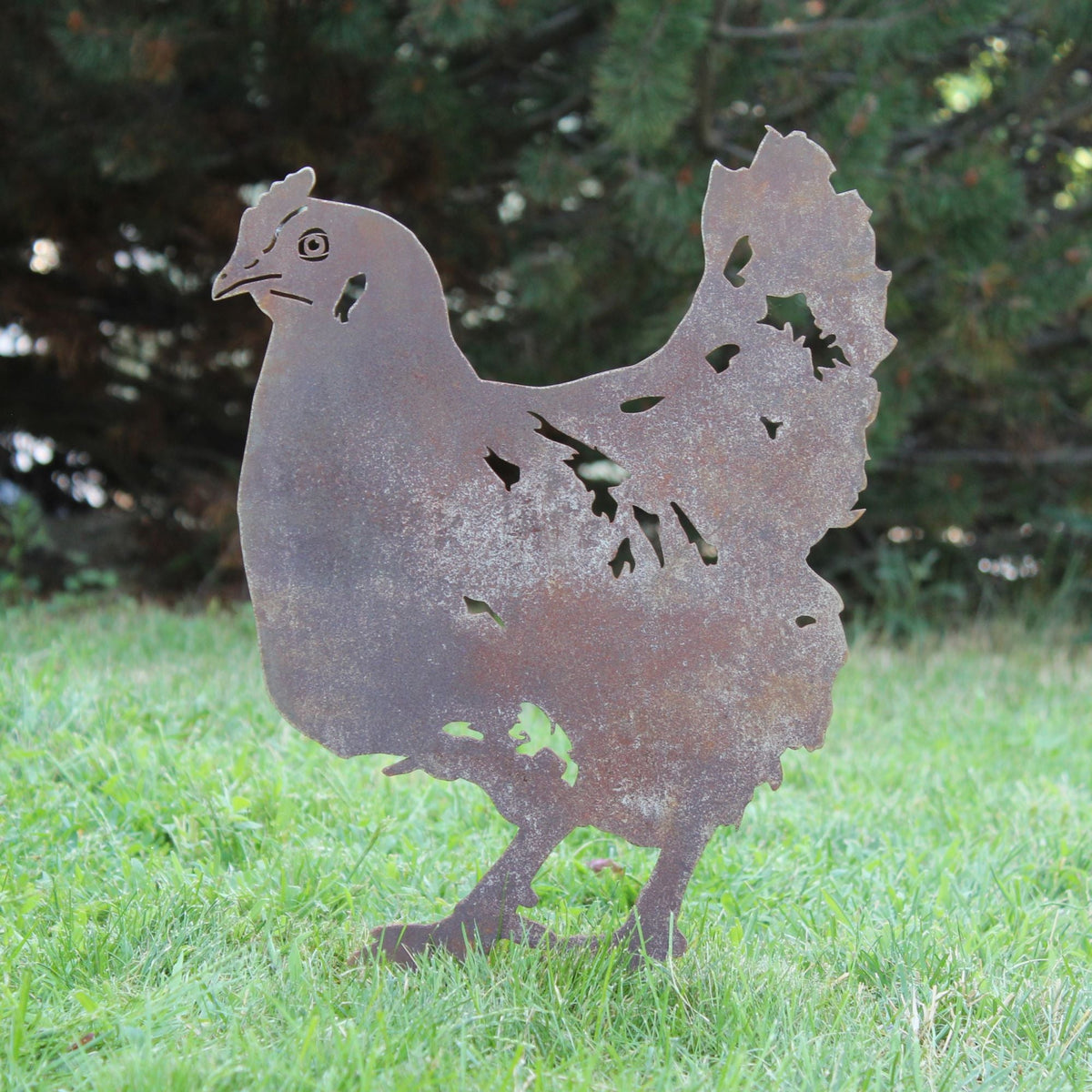 Chicken, photo 5 of 16