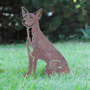 Toy Fox Terrier