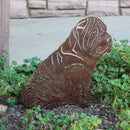 Shar Pei