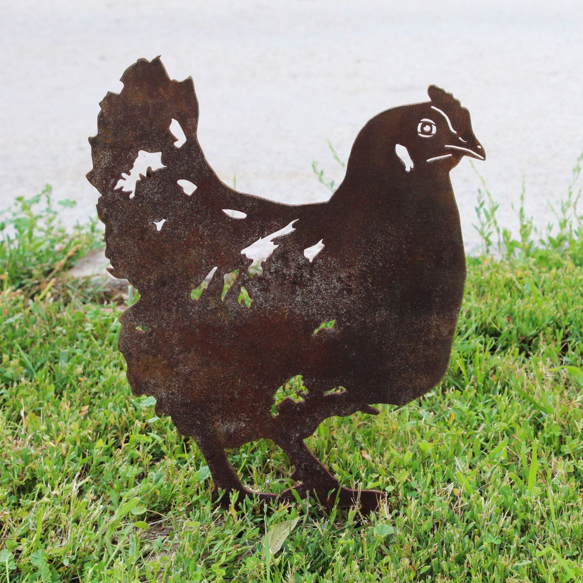 Chicken, photo 2 of 16
