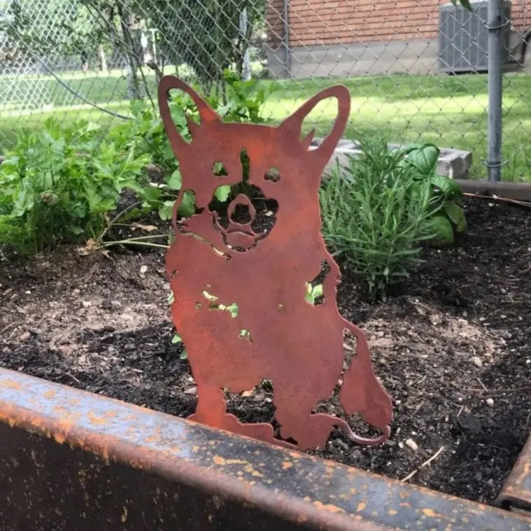 Corgi, photo 5 of 15