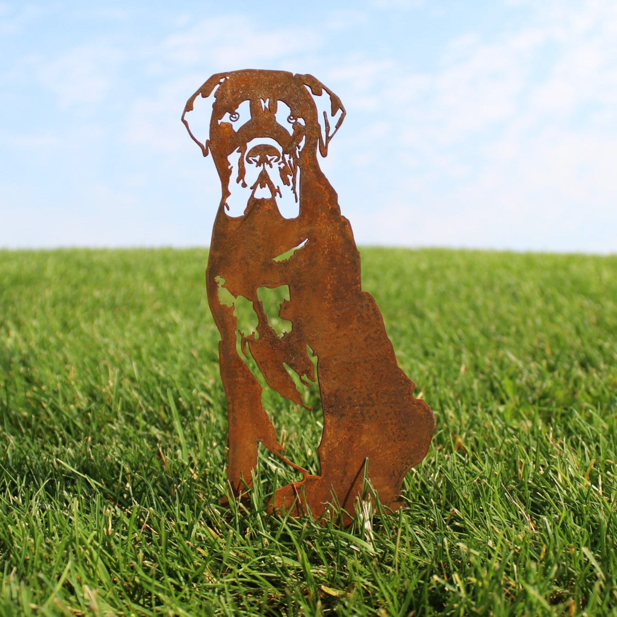 Mastiff, photo 2 of 13