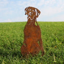 German Shorthaired Pointer