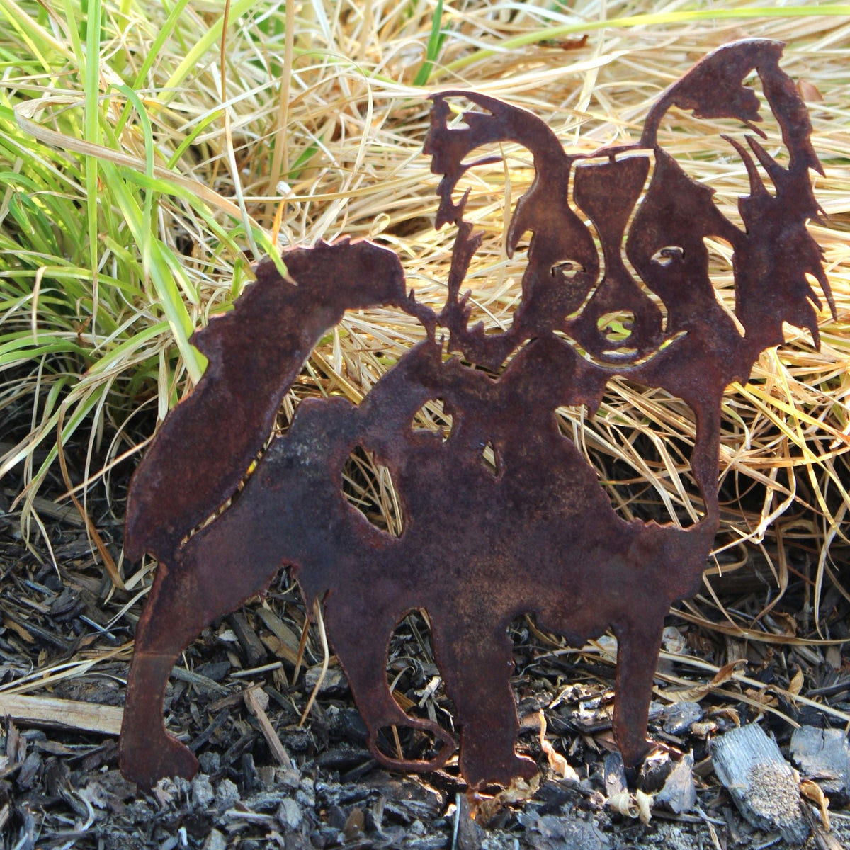 Papillon, photo 5 of 15