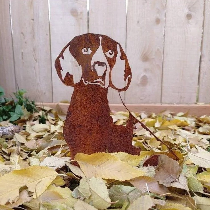Beagle, photo 7 of 17