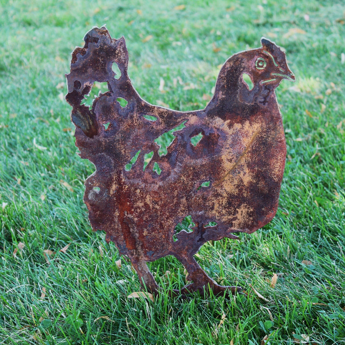 Chicken, photo 6 of 16