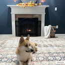 Maligaya Distressed Washable Rug - Clearance