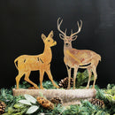 Deer - Buck