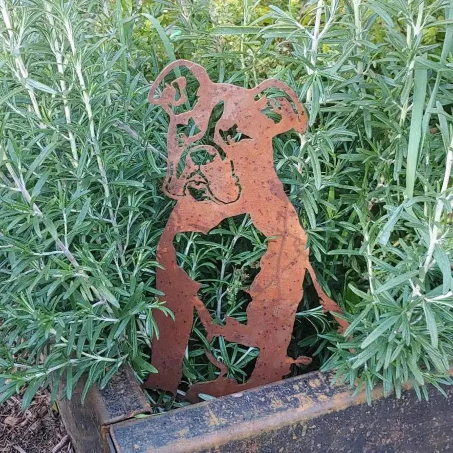 Boxer, photo 6 of 16