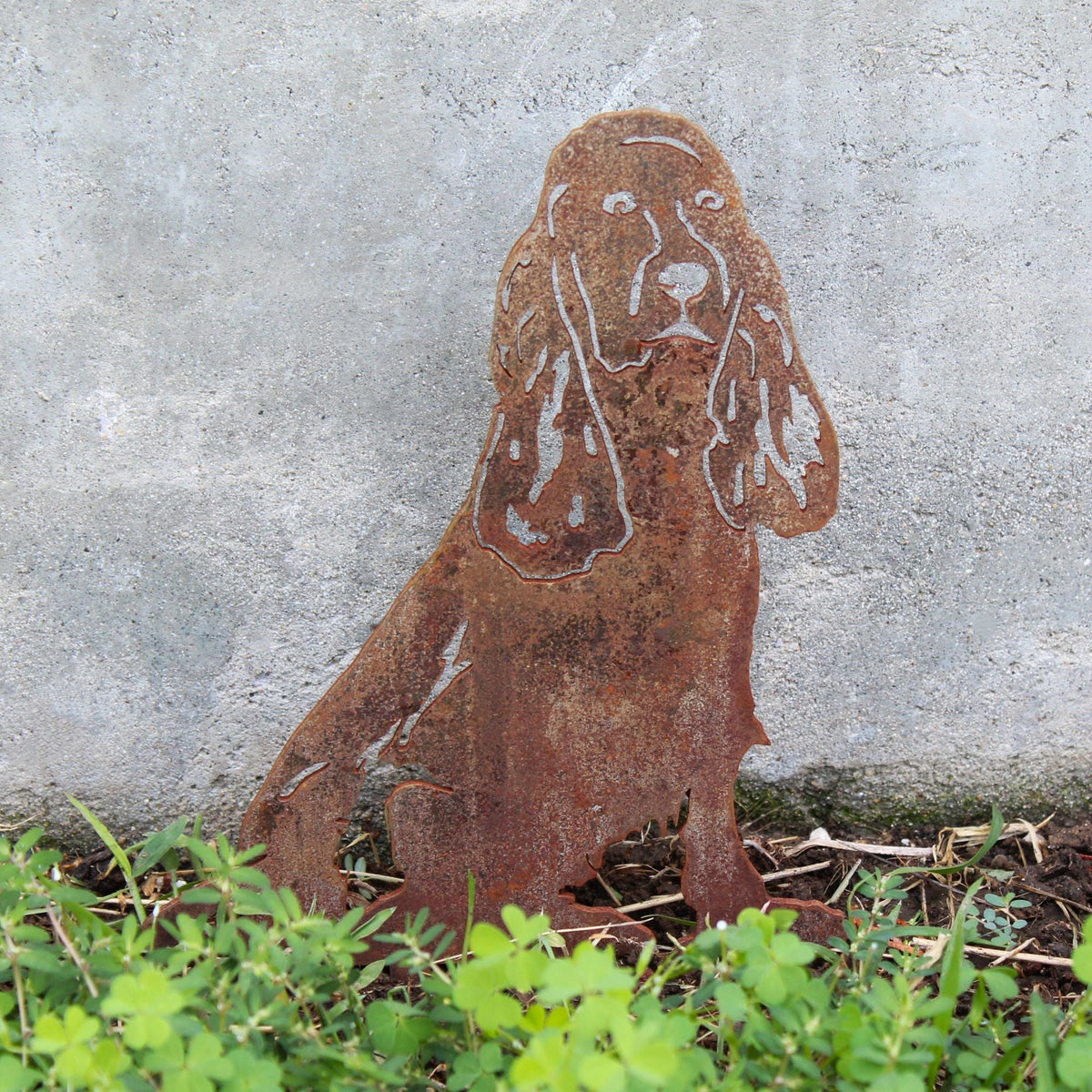Cocker Spaniel, photo 6 of 13