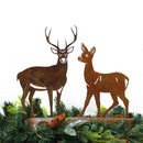 Deer - Buck