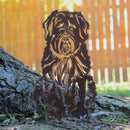 Bouvier Des Flandres