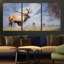 Rustic Elk Wall Art Canvas Print – Framed Majestic Wildlife