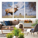 Rustic Elk Wall Art Canvas Print – Framed Majestic Wildlife