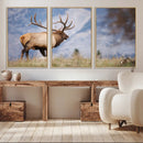 Rustic Elk Wall Art Canvas Print – Framed Majestic Wildlife