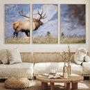 Rustic Elk Wall Art Canvas Print – Framed Majestic Wildlife