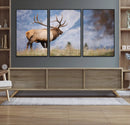 Rustic Elk Wall Art Canvas Print – Framed Majestic Wildlife