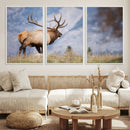 Rustic Elk Wall Art Canvas Print – Framed Majestic Wildlife