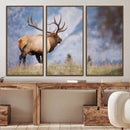 Rustic Elk Wall Art Canvas Print – Framed Majestic Wildlife