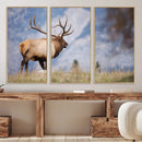 Rustic Elk Wall Art Canvas Print – Framed Majestic Wildlife