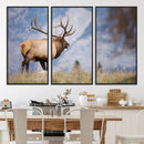 Rustic Elk Wall Art Canvas Print – Framed Majestic Wildlife