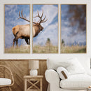 Rustic Elk Wall Art Canvas Print – Framed Majestic Wildlife