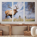 Rustic Elk Wall Art Canvas Print – Framed Majestic Wildlife