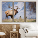 Rustic Elk Wall Art Canvas Print – Framed Majestic Wildlife