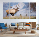 Rustic Elk Wall Art Canvas Print – Framed Majestic Wildlife