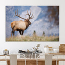 Rustic Elk Wall Art Canvas Print – Framed Majestic Wildlife