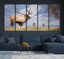 Rustic Elk Wall Art Canvas Print – Framed Majestic Wildlife