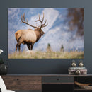 Rustic Elk Wall Art Canvas Print – Framed Majestic Wildlife