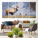 Rustic Elk Wall Art Canvas Print – Framed Majestic Wildlife