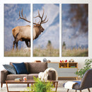 Rustic Elk Wall Art Canvas Print – Framed Majestic Wildlife