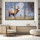 Rustic Elk Wall Art Canvas Print – Framed Majestic Wildlife