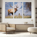 Rustic Elk Wall Art Canvas Print – Framed Majestic Wildlife