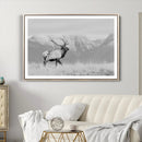 Rustic Elk Wall Art Canvas Print – Framed Majestic Wildlife