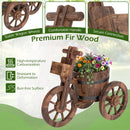 Rustic Wood Tricycle Planter with Wheels and Storage Box-Coffee by LJGDeals