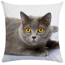 GobekUsa Bubble Black Cats Cat Pillow Cases Sofa Home Decor Custom Cushion Cover