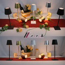 GobekUsa 2023 Plodina USB Rechargeable Acrylic Table Lamp