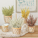 GobekUsa Forever Dancing Grass Flowers Dried Preserved Home Wedding Decor DIY Material