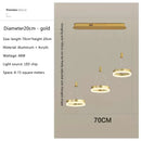 GobekUsa LED Rings Ceiling Chandelier: Dimmable Living Room Lighting, Modern Parlor Foyer Decor