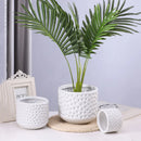 GobekUsa Gold Ceramic Flower Pot Succulent Vase Terrarium Plant Pots for Home Balcony Decor