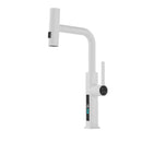 GobekUsa Digital Display Single Lever Brass Kitchen Faucet - Hot Cold Pull Out Mixer