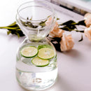 GobekUsa Glass Tea Infuser Water Bottle Thermos Drinkware Kit