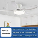 GobekUsa 52" DC Ceiling Fan Light Remote Control LED Living Bedroom 220V 110V