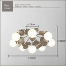GobekUsa Frost Glass Ceiling Chandelier for Home Indoor Lighting