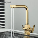 GobekUsa Dual Outlet Gold Kitchen Faucet for Purified Water Hot & Cold Basin Sink