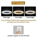 GobekUsa Gold Möbius Strip Pendant Chandelier for Luxe Living and Dining Spaces