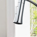 GobekUsa Kitchen Faucet Sprayer Nozzle Replacement, Oil Rubbed Bronze Finish